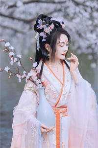 好辰光牌破壁灵芝孢子硒葡价格多少