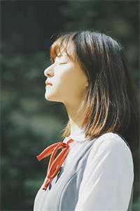 小夫人晋江文学城