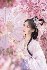 卿本情琛明珠还