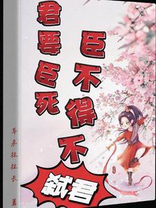清穿之侍妾成妃记乐文