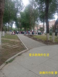 绝版孤星煞的逃婚计划