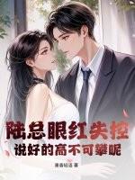风月情诗沈则周怀雅结局