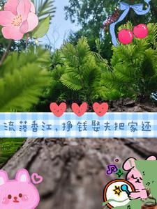 我们猫猫不能听这些免费阅读