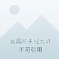 不可言说的秘密周扶妖
