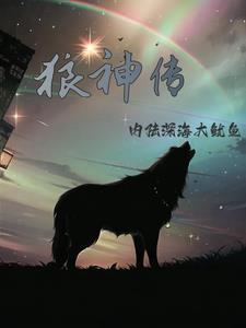 将军夫人在上枫林绾书
