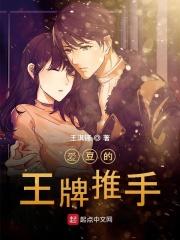 厨妻当道电视剧免费观看完整版