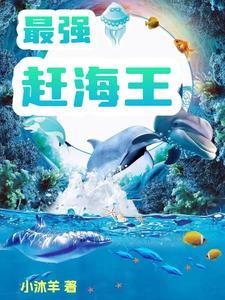 醋瘾 大闲猫