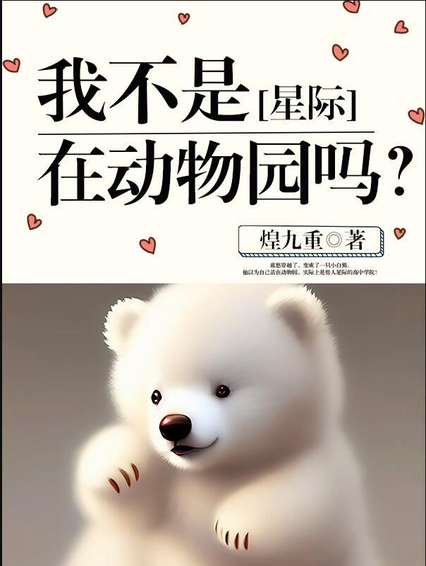 韩剧城市猎人不好看