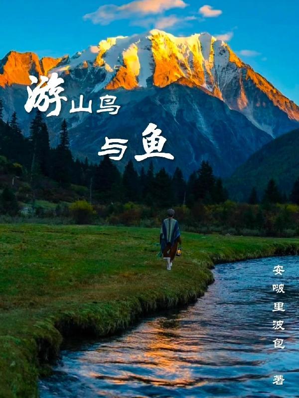 很多枪!