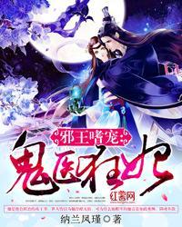 天才维修师全本TXT
