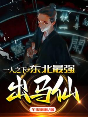 海贼王之海贼副船长