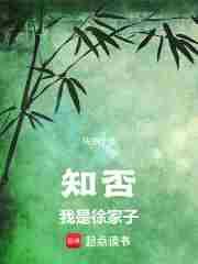 哥不玩闪婚游戏