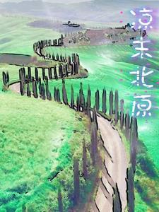 我的冰山美女总裁沈浪苏若雪