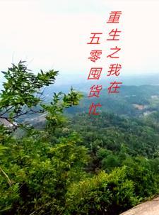 他的替身by初禾 简介