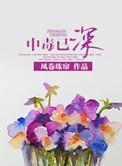 贵族男校的路人炮灰突然变美后by