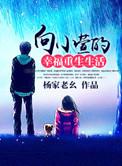 木偶戏是哪个地方的民间特色