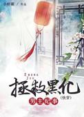 小夏是什么电视剧的主角名