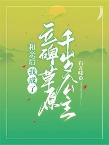 大宋之包青天