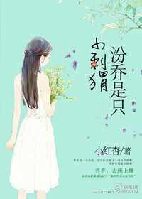 女穿男古代科举文